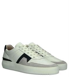 Blackstone Dg513