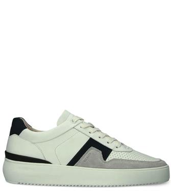 Blackstone Dg513