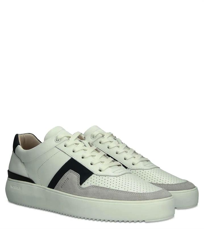 Blackstone Dg513
