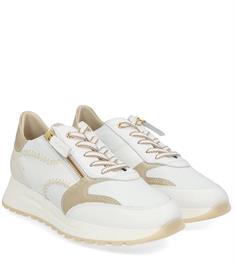 DL Sport 6529