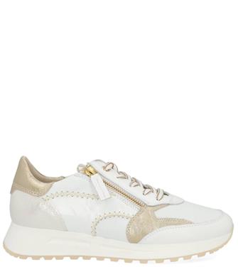 DL Sport 6529