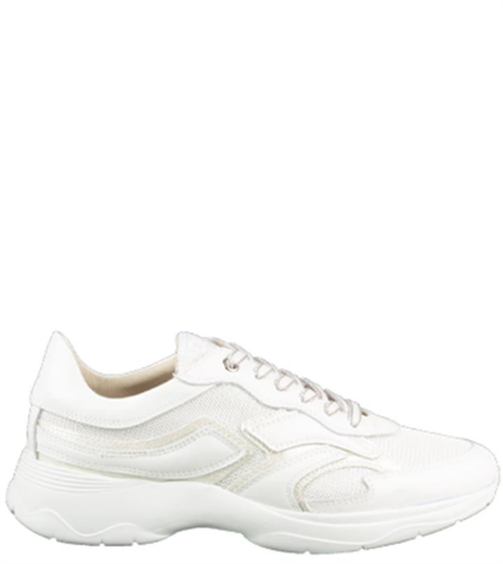 DL Sport 6540
