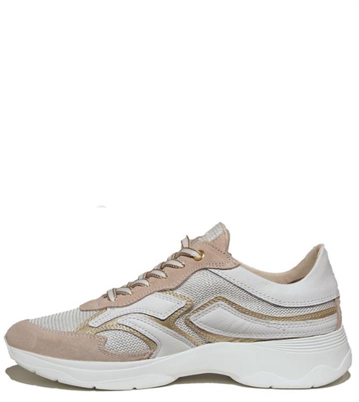 DL Sport 6540