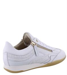 DL Sport 6571