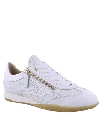 DL Sport 6571
