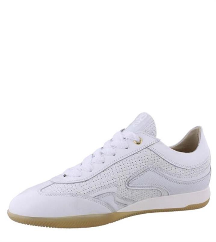 DL Sport 6571
