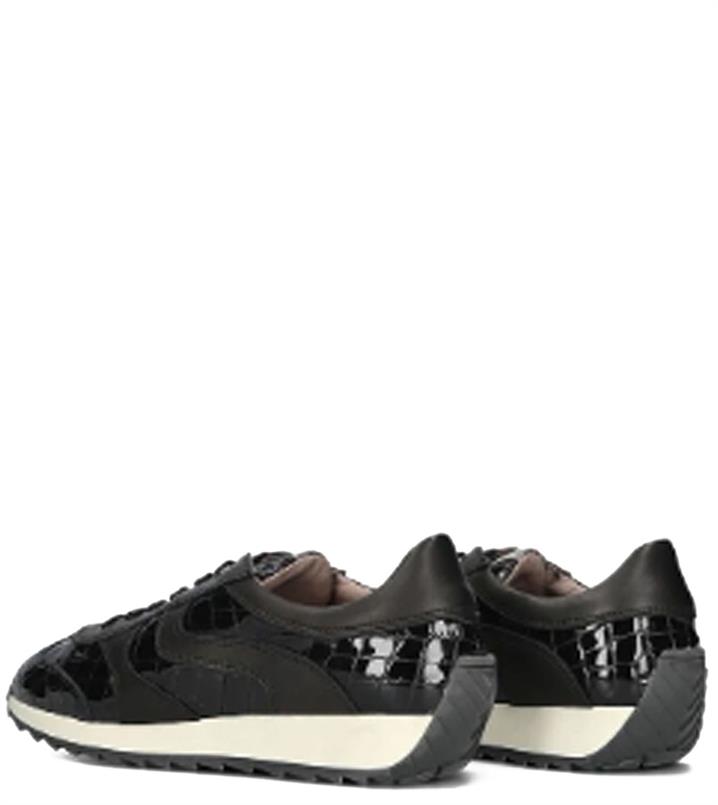 DL Sport 6745