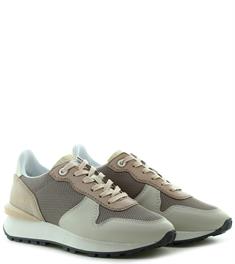 Toral 12637